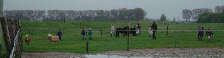 Ponyrijden
