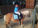 Ponyrijles voor de kleintjes