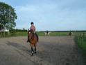 Paardrijles