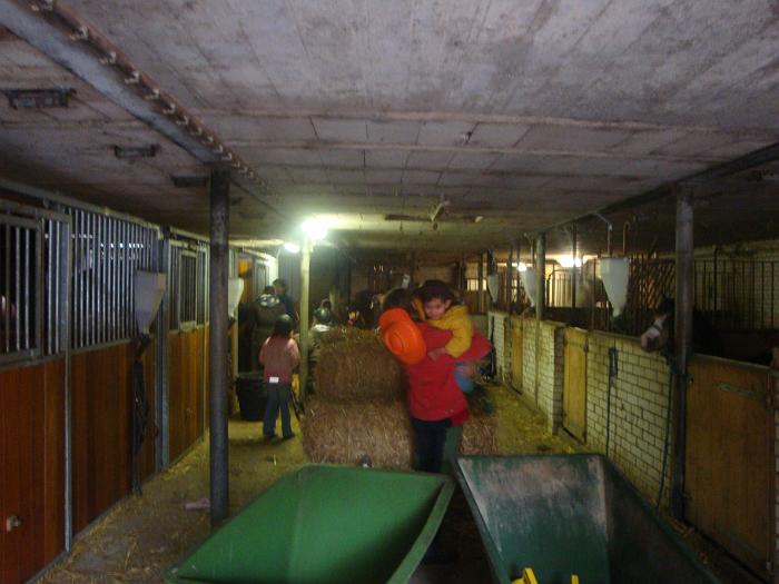 DSC00669.JPG