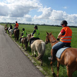 Workshop Paard Observeren