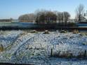 Coffee corner in de sneeuw