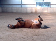 Rollen...